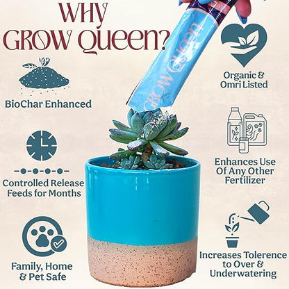 Complete Organic Cactus & Succulent Fertilizer, Succulent Plant Food & Cactus Food, Bonsai, Snake Plant Fertilizer, 7 Servings Fast & Slow Release Feeds up to 28 Plants 8 Months