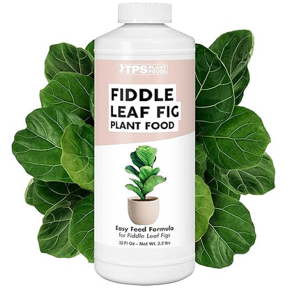 Fiddle Leaf Fig Plant Food for All Fig and Other Ficus Trees, Liquid Houseplant Fertilizer, 32 oz (1 Quart)