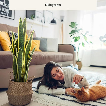 KOL 2ft Artificial Snake Plant, 32 Lifelike Faux PVC Leaves, Indoor Home Garden Decor, Fake Sansevieria Potted Plants, Mother-in-Law Tongue, 25.6in Floor Greenery in Black Pot