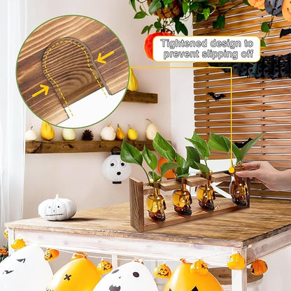 Plant Propagation Stations Halloween Skull Plant Terrarium Kit Glass Vases Gift for Father Air Planter Home Office Decor