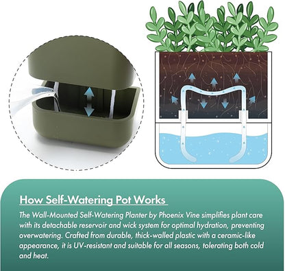 Phoenix Vine 6.5-Inch Wall Mounted Self-Watering Planter Pot for Indoor Houseplants and Herbs | Hanging Planter for Window Sills, Bathroom Walls, Home & Office Décor, Olive, Set of 2, 01-WP-C-2