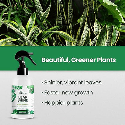 8oz Leaf Shine Spray for Indoor Plants - Plant Leaf Cleaner and Shine for Indoor Houseplants - Makes Leaves Shiny, Vibrant & Healthy
