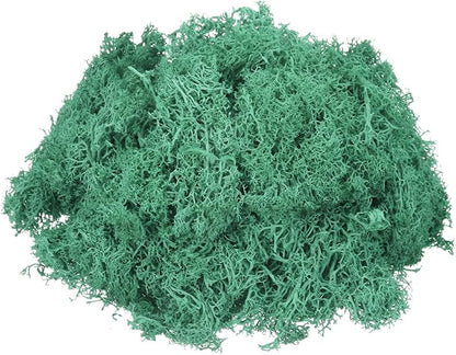 MECCANIXITY 3oz Preserved Reindeer Moss, Cyan Decorative Artificial Fake Moss for Potted Plants Indoor Crafts Lichen Centerpieces Decor