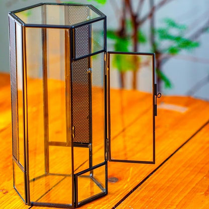 NCYP Small Glass Enclosure Terrarium with Mesh and Door for Jumping Spiders, Insects - Hexagon Shape Succulents Terrarium 4.9'' x 3.9'' x 9.4'', Tabletop Decor, Black (Plants Not Include)