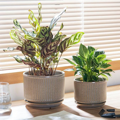 Speckle Gray Ceramic Plant Pots Set of 3, 4.3+5.5+6.7 Inch Indoor Flower Pot with Drainage Hole & Saucer & Hole Pads, Striped Decorative Planter Set for Indoor Plants, Gardening Pots & Accessories