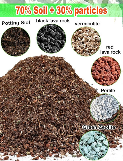 TOYPOPOR Succulent Soil, Cactus Potting Mix 12.5 Pounds/10QTS, High Drainage, Pre-Mixed Ready to Use for All Succulent Varieties, Indoor Plants, Bonsai, Terrarium, Houseplant, 30% Particles 70% Soil