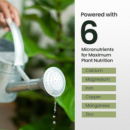 16oz Fiddle Leaf Fig Plant Food - Makes 96 Gallons of Fertilizer, Liquid Houseplant Fertilizer for Ficus Plants, Ideal Fiddle Leaf Fertilizer, 6-2-4 NPK Ficus Plant Food for Strong, Healthy Growth