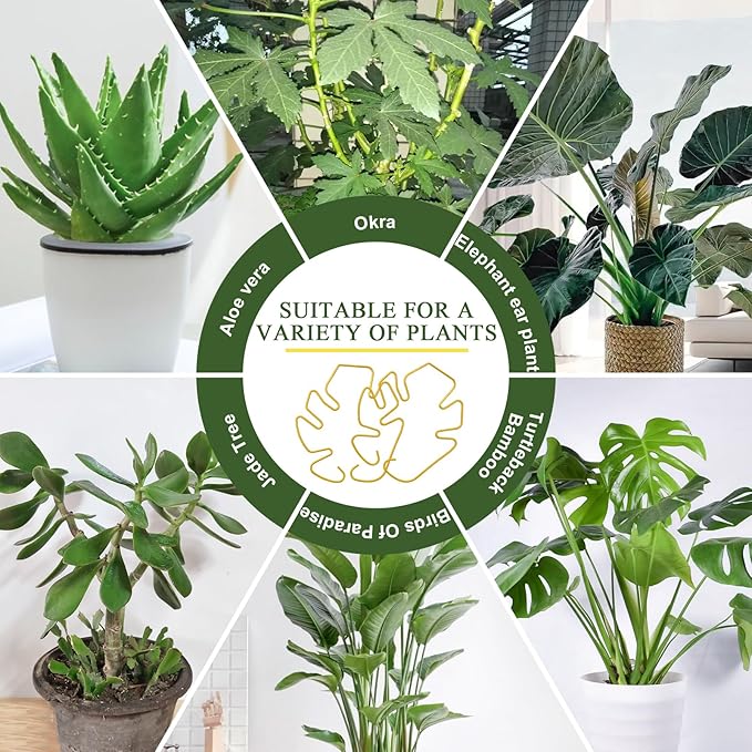Monstera Plant Support 3 Pack, Plant Supports for Indoor Plants, Metal Plant Stem Holder Large Plant Support Ring Unique Design for Climbing Plants Stem Stabilizer Growth Accessories (Gold)