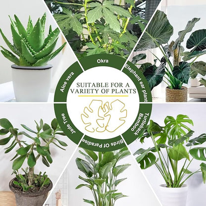 Monstera Plant Support 3 Pack, Plant Supports for Indoor Plants, Metal Plant Stem Holder Large Plant Support Ring Unique Design for Climbing Plants Stem Stabilizer Growth Accessories (Gold)