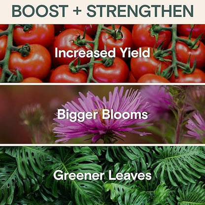 Organic Plant Food Liquid Fertilizer – Indoor & Outdoor Concentrate for Growth, Immunity & Bloom – Houseplants & Garden Fertilizer – Supports Strong Roots, Lush Foliage, High-Yield Harvests