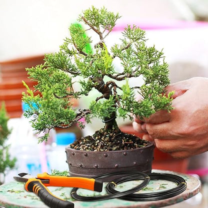 Mudder 5 Roll Aluminum Bonsai Training Wire Tree 160 Feet Total with Bonsai Wire Cutter Anodized Training for Holding Branches Small Trunks (Classic)