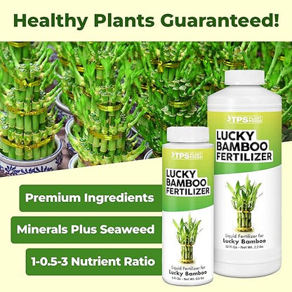 Lucky Bamboo Fertilizer, Complete Liquid Lucky Bamboo Plant Food, 32 oz (1 Quart)