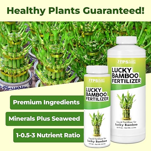 Lucky Bamboo Fertilizer, Complete Liquid Lucky Bamboo Plant Food, 8 oz (250mL)