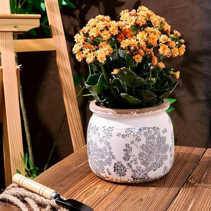 Vintage Grey Ceramic Ice Crack Flower Pot with Drainage Holes, Country Rustic Planters for Indoor and Outdoor,Tuscan Decor,Home,Living Room, Garden Decor, Gardening Gift