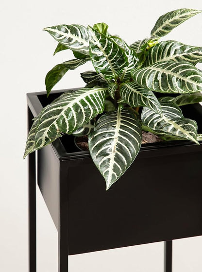 Kate and Laurel Palade Modern Two-Piece Metal Outdoor Planter Set; 2 Piece Set; Black; Metal Indoor or Outdoor Planters with Geometric Base for Patio Plant Decor