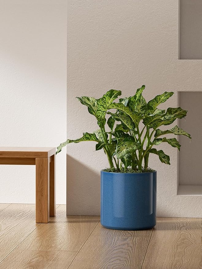 LE TAUCI 12 Inch Pot for Plants, Ceramic Planters for Indoor Plants, Mid-Century Modern Cylinder Flower Pots with Drainage Hole, Fits Fiddle Leaf Fig & Monstera, Home Decor, Harbor Blue