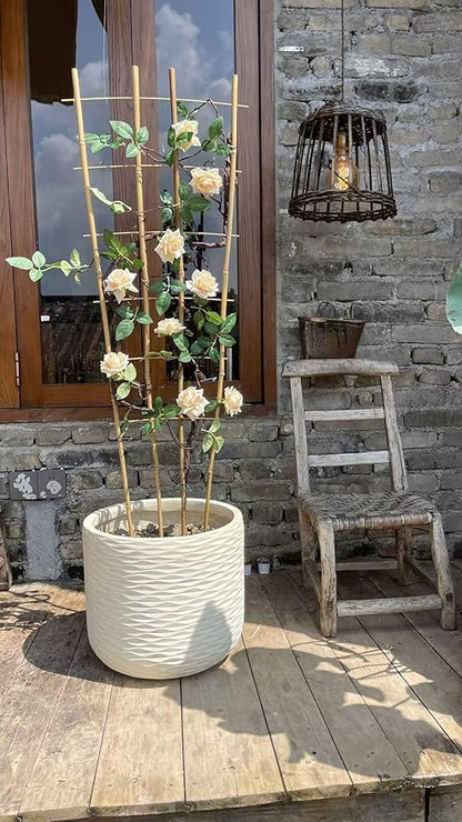 Natural Bamboo Trellis, 4Feet,6Pack,Fan-Shaped Plant Support Trellis for Outdoor and Indoor Potted Climbing Plants,Vegetables, Cucumber, Tomato, Hoya,