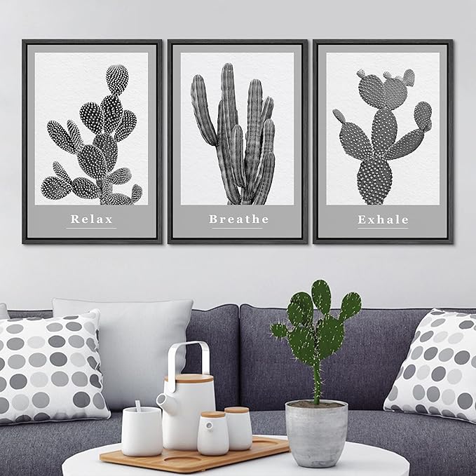 Ashbrook Framed Wall Art Print Set Black & White Grayscale Desert Succulents Nature Wilderness Photography Modern Art Boho Scenic Dramatic for Living Room, Bedroom, Office - 24"x36"x3 Black