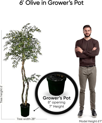 Cypress & Alabaster Handmade 6ft Mediterranean Olive Artificial Tree with Ethically Sourced Real Wood Trunks, Hypoallergenic, 6-Foot, Green