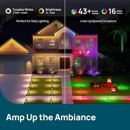 Linkind Smart Solar Pathway Lights SP6, in-App Pattern Switching Solar Lights Outdoor, USB & Solar Charging, Cool/Warm White/Color-Changing Landscape Lighting, Christmas Decor for Yard, Patio (4 Pack)