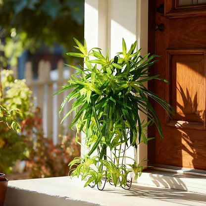 2 Pcs Artificial Spider Hanging Plant Artificial Bracketplant Chlorophytum Fake Greenery for Outdoor Porch Patio Window Shelf Office Garden Home Decor (Gold)