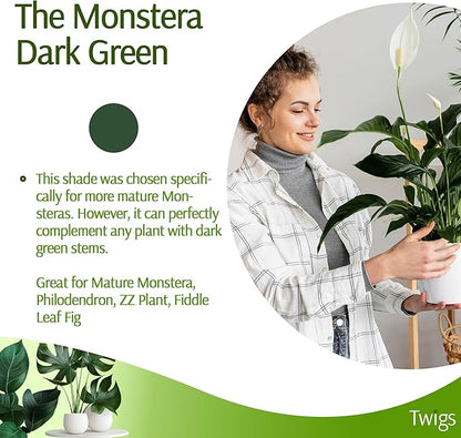 Plant Support Stakes for Indoor & Outdoor Use, Durable Trellis Alternative for Climbing & Potted Plants, Houseplant Stem Holder Structures - Monstera (Dark Green), 10 Pack, 22" L, Original