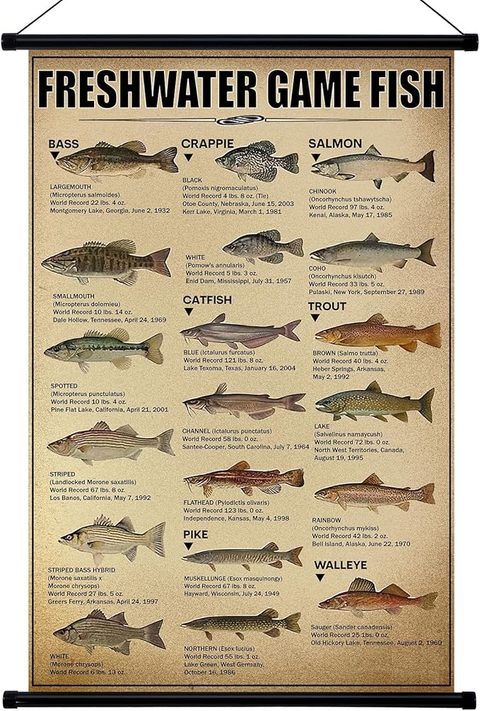 Geyee Fish Vintage Poster Wall Decor Mallard Ducks Hunting Art Knowledge Picture Prints Wall Decor for Home Kitchen Office Classroom Living Room Bedroom Frame, 15.8 x 23.6 Inch