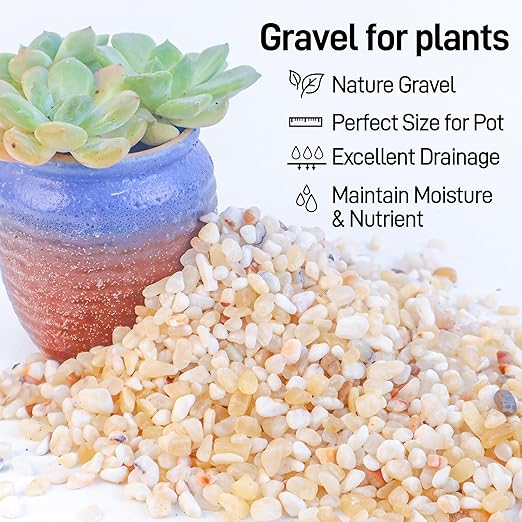 2.4lb Aquarium Gravel for Plants,1/5 Inch Natural Decorative River Rocks for Succulent and Cactus Landscaping, Natural Small Rocks for Fish Tanks, Vases & Terrariums