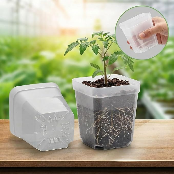 60 Pcs Clear Square Nursery Pots 4 Inch, Reusable Seedling Pots with Drainage Holes, Transparent Small Plant Potting Pot Containers for Seedlings Microgreens, Flowers, Indoor Gardening