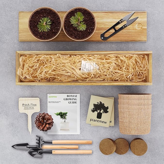 Bonsai Tree Kit - Christmas Gifts, Christmas Gifts for Women & Men, Christmas Gifts for Mom - Complete Beginner Bonsai Starter Kit with Tools & Seeds | Unique DIY Gardening Gift Set for Plant Lovers
