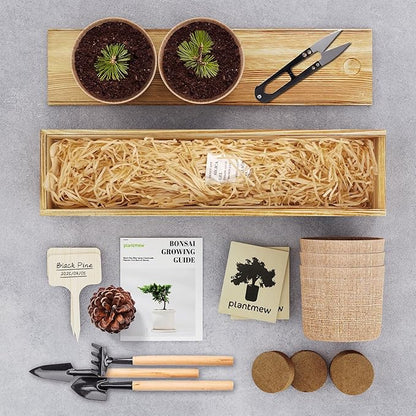 Bonsai Tree Kit - Christmas Gifts, Christmas Gifts for Women & Men, Christmas Gifts for Mom - Complete Beginner Bonsai Starter Kit with Tools & Seeds | Unique DIY Gardening Gift Set for Plant Lovers