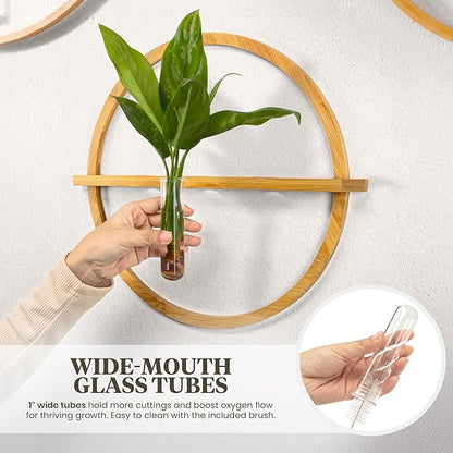Plant Propagation Stations - Set of 3 Bamboo Wall Planters for Indoor Plants with 5 Glass Plant Propagation Tubes | Propagation Vases for Plants | Aesthetic Plant Wall Decor