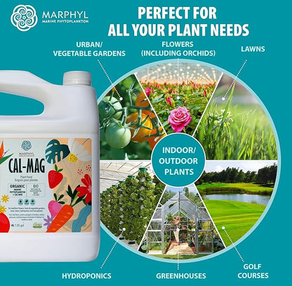 MARPHYL Organic CALMAG Liquid Fertilizer, Calcium + Magnesium, Corrects Common Plant Deficiencies, for Garden, Flowers, Vegetables, Succulents, Bamboo, Hydroponics 67.6 oz