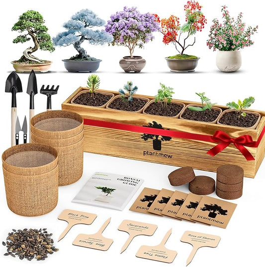Bonsai Tree Kit - Christmas Gifts, Christmas Gifts for Women & Men, Christmas Gifts for Mom - Complete Beginner Bonsai Starter Kit with Tools & Seeds | Unique DIY Gardening Gift Set for Plant Lovers
