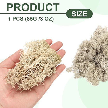 MECCANIXITY 3oz Preserved Reindeer Moss, Brown Decorative Artificial Fake Moss for Potted Plants Indoor Crafts Lichen Centerpieces Decor
