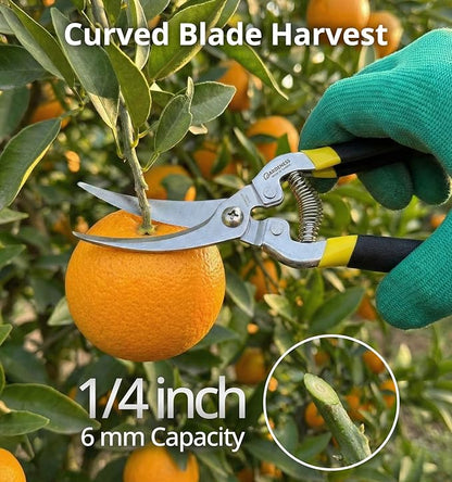 Gardeness Gardening Scissor 12 PCS Curved Stainless Steel Serrated Blade Pruning Shear, harvest shears picking shears Pruning Snip Harvesting Fruit Picking, Mandarins, Lemons and Grape
