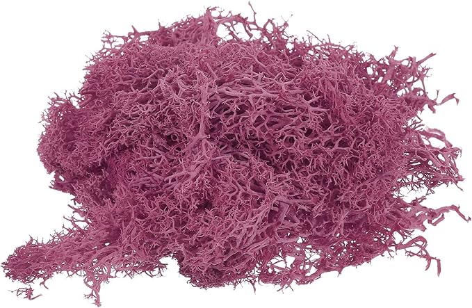 MECCANIXITY 3.5 OZ Moss Fake Craft Moss Artificial Moss Natural Preserved Moss for Craft Arts Floral DIY Project Wall Wedding Garden Patio Table Terrariums Decoration(Rose Red)