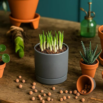D'vine Dev 3.5 Inch Ceramic Planter Pot with Drainage Hole and Saucer, Indoor Cylinder Round Planter Pot, Speckled Grey, 94-O-A-3