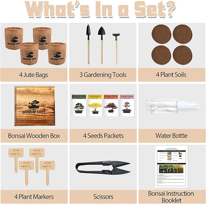 Bonsai Garden Starter Kit, 4 Seeds Growing into Sakura, Ginkgo, Black Pine, Red Flame, Including Complete Gardening Tools & A Wooden Box with Cover, Christmas Gifts for Men Women Beginners