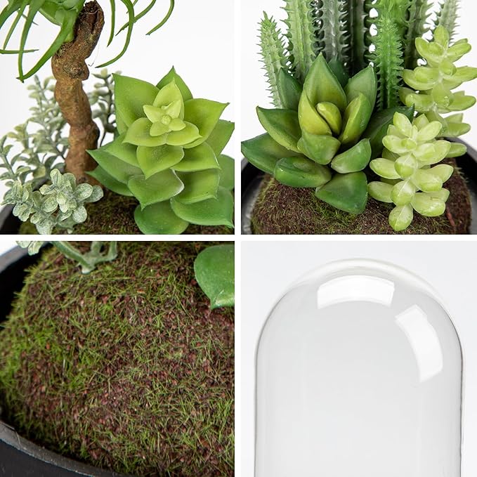 Set of 2 Artificial Succulents Plants in Glass Dome with Featuring Sand Moss, Small Fake Cactus Plants Faux Plants Indoor Decor for Home Office Table Desk Shelf Room Hostess Gift