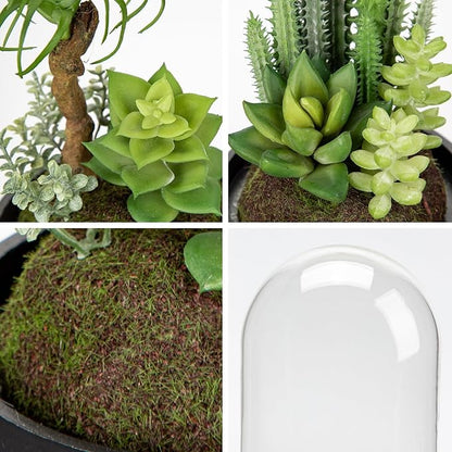 Set of 2 Artificial Succulents Plants in Glass Dome with Featuring Sand Moss, Small Fake Cactus Plants Faux Plants Indoor Decor for Home Office Table Desk Shelf Room Hostess Gift
