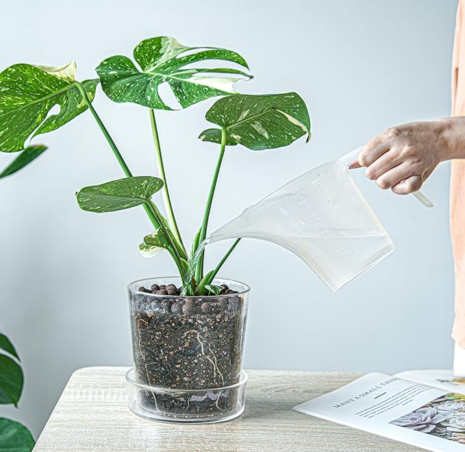 Phoenix Vine 6.5 InchClear Acrylic Planter Pot with Tray, Orchid Pot with Drainage Holes, Deep Saucer for Bottom Watering, Transparent Containers for Indoor Plants, Herbs, Set of 2, 91-A-F-2