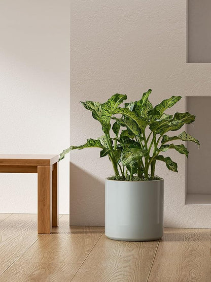 LE TAUCI 12 Inch Pot for Plants, Ceramic Planters for Indoor Plants, Mid-Century Modern Cylinder Flower Pots with Drainage Hole, Fits Fiddle Leaf Fig & Monstera, Home Decor, Mist Gray