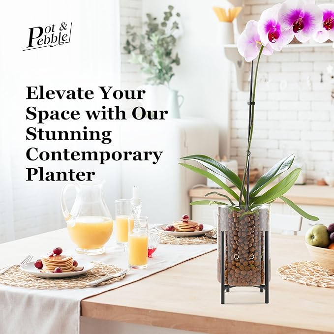 Pot & Pebble - C8 Glass Planter with Decorative Metal Base - Plant Propagation Station with Water Level Control - Plant Cutting Holder for LECA Clay Pebbles/Similar Media - Semi Hydroponic Planter
