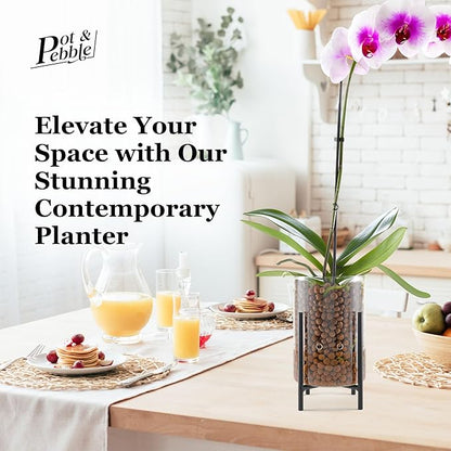 Pot & Pebble - C8 Glass Planter with Decorative Metal Base - Plant Propagation Station with Water Level Control - Plant Cutting Holder for LECA Clay Pebbles/Similar Media - Semi Hydroponic Planter