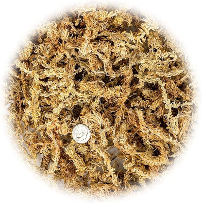 Premium New Zealand Sphagnum Moss by Gardenera - Organic Hand Mixed Long Fibered Sphagnum Moss Orchid - 4 Quart