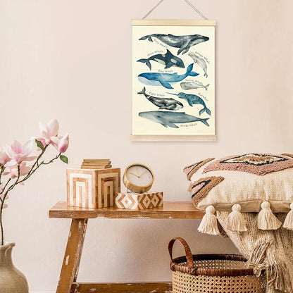 TAEDIN Whales Ocean Animal Chart Poster Hanger Frame, Whales Nautical Wall decor Educational Wooden Canvas Print, Sea Life Beach Wall Decor Painting for Classroom Nursery Bedroom Teen Room 16X24