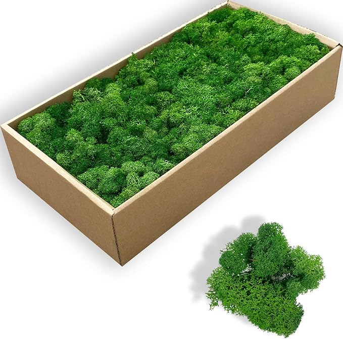 Preserved 5oz Moss Artificial Moss Natural Fresh Green Moss for Craft Handicraft Arts Floral Project Wall Decor Table Decor Wedding Centerpieces Garden Terrariums Decoration-MIdGreen