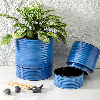 Hasense Large Self Watering Plant Pot, 8 Inch Porcelain Planter with Drainage Hole and Water Storage Plus for Outdoor & Indoor House Plants and Garden, Round Flower Pots for Home or Office Decor, Blue