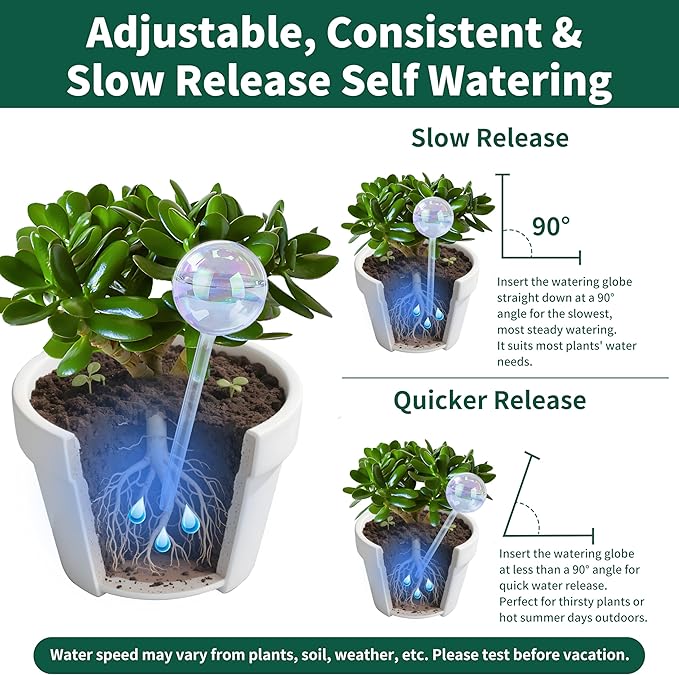 Large Extra-Thick Clear Glass Plant Watering Globes, Rainbow Gradient Self Watering Devices for Indoor & Outdoor Plants, AutomaticWaterer Spikes, Perfect for Daily or Vacation Use, 2-Pack